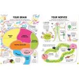 Lift the Flap How Your Body Works Usborne Books - HotPick