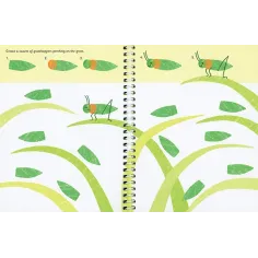 Fingerprint Activities Bugs Usborne