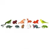 Tub 12 Figurine Animale De Companie Safari Ltd - HotPick