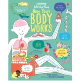 Lift the Flap How Your Body Works Usborne Books - HotPick