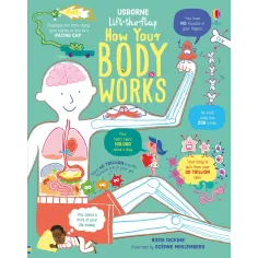 Lift the Flap How Your Body Works Usborne Books