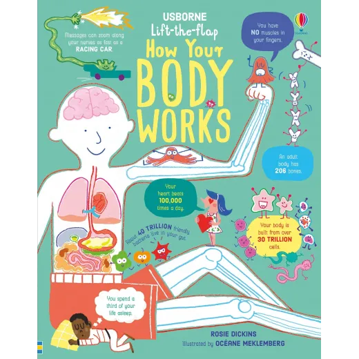 Lift the Flap How Your Body Works Usborne Books - HotPick