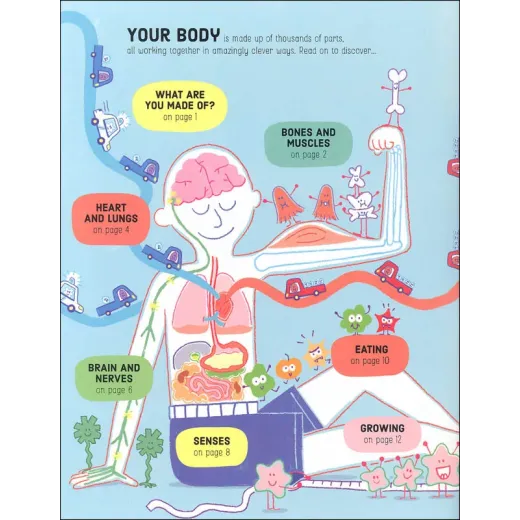 Lift the Flap How Your Body Works Usborne Books - HotPick