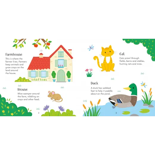 Joc educativ + Carte Farm Matching Games and Book Usborne - HotPick