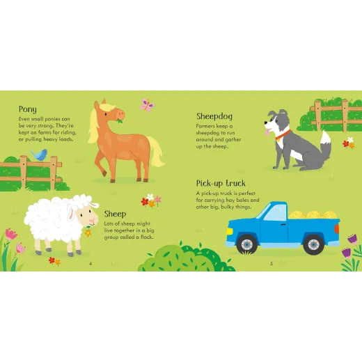 Joc educativ + Carte Farm Matching Games and Book Usborne - HotPick