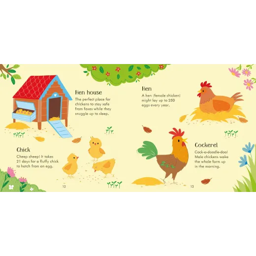 Joc educativ + Carte Farm Matching Games and Book Usborne - HotPick