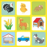 Joc educativ + Carte Farm Matching Games and Book Usborne - HotPick