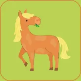 Joc educativ + Carte Farm Matching Games and Book Usborne - HotPick