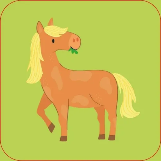 Joc educativ + Carte Farm Matching Games and Book Usborne - HotPick