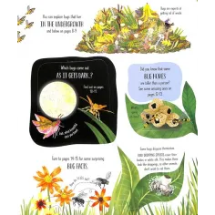 Lift-the-flap Bugs and Butterflies