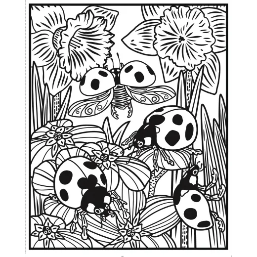 Bugs Magic Painting Book Usborne - HotPick