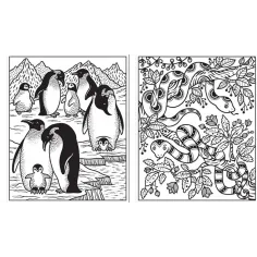 Animals Magic Painting Book Usborne