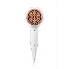 Uscator de Par Mesko MS2250, 2100W